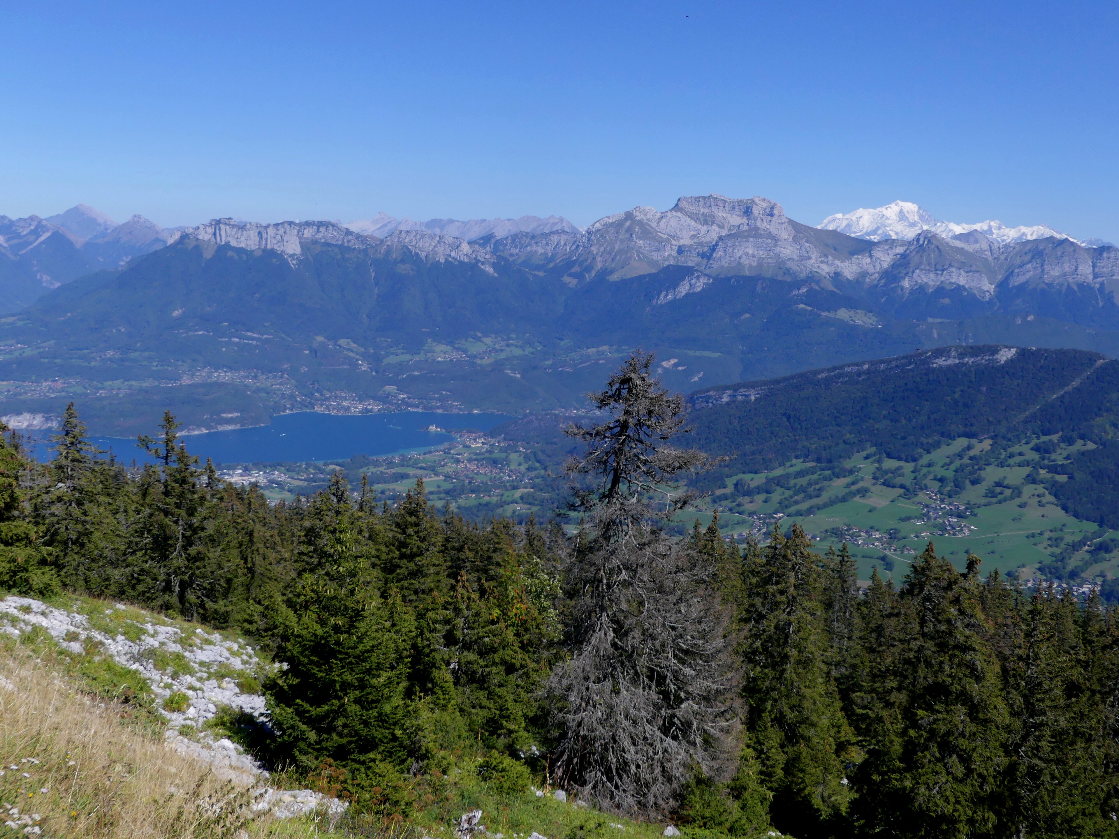 Lac d'Annecy
